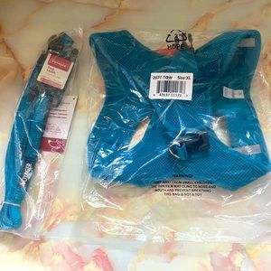 Teal Voyager Mesh Dog Harness and Leash Set